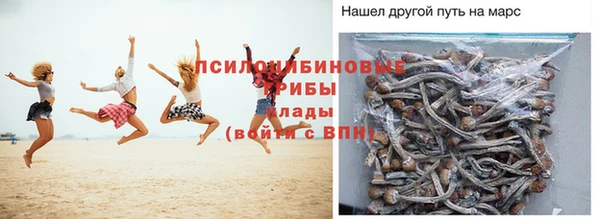 таблы Новодвинск