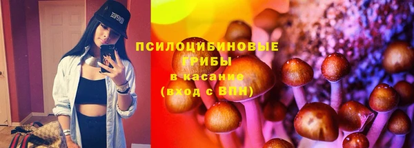 МДМА Новозыбков
