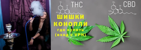 МДМА Новозыбков