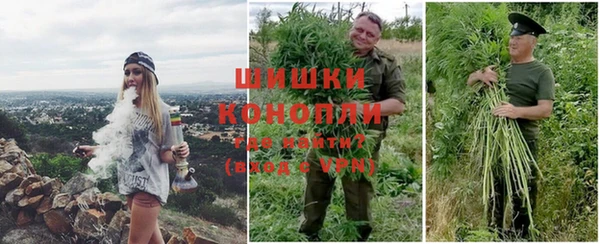 таблы Новодвинск