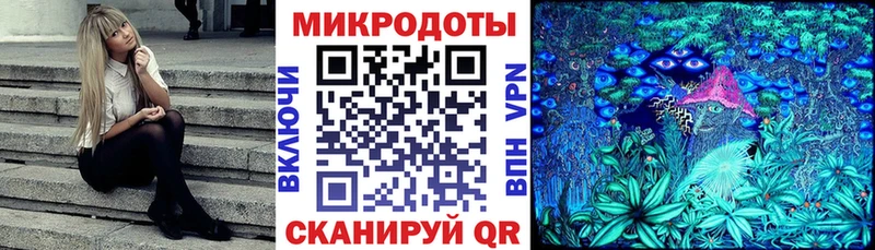 Псилоцибиновые грибы Cubensis Губкинский