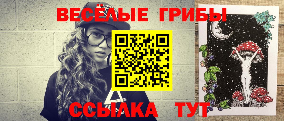 Псилоцибиновые грибы Psilocybe Губкинский