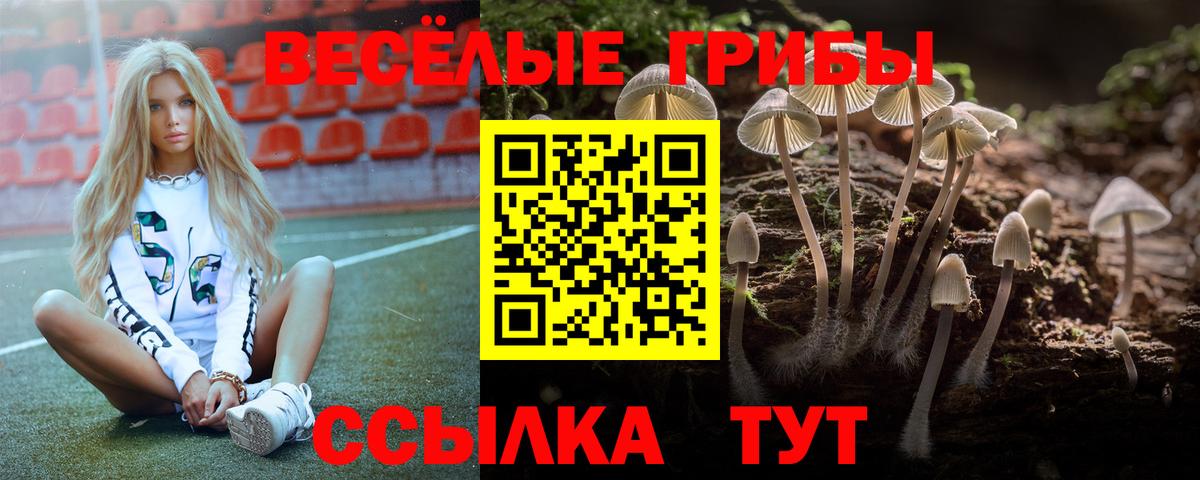 Псилоцибиновые грибы Psilocybine cubensis  Галлюциногенные грибы Psilocybe  Вход с VPN  Губкинский 
