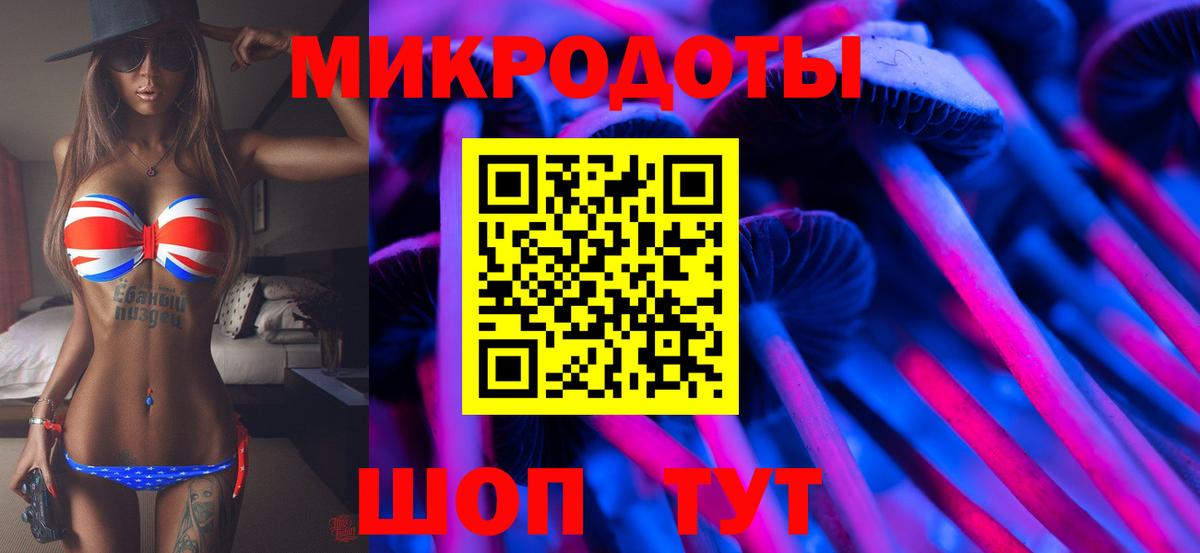 Псилоцибиновые грибы Magic Shrooms  Губкинский 